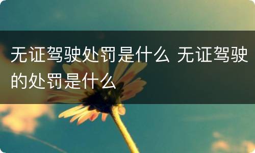 无证驾驶处罚是什么 无证驾驶的处罚是什么