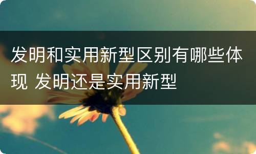 发明和实用新型区别有哪些体现 发明还是实用新型