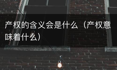产权的含义会是什么（产权意味着什么）