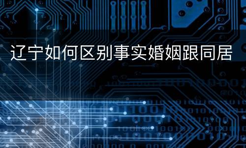 辽宁如何区别事实婚姻跟同居