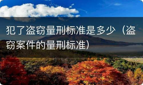 犯了盗窃量刑标准是多少（盗窃案件的量刑标准）