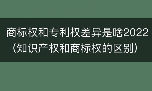 商标权和专利权差异是啥2022（知识产权和商标权的区别）