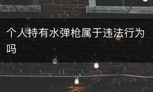 个人持有水弹枪属于违法行为吗