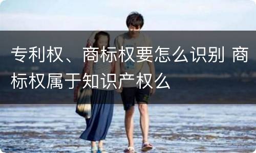 专利权、商标权要怎么识别 商标权属于知识产权么