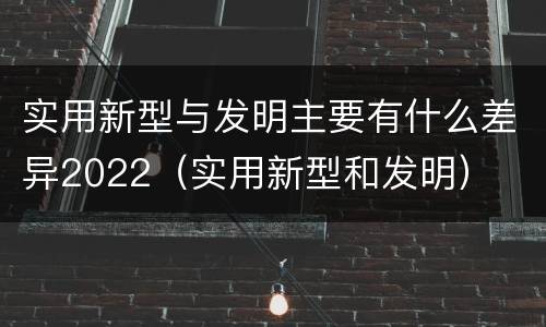实用新型与发明主要有什么差异2022（实用新型和发明）