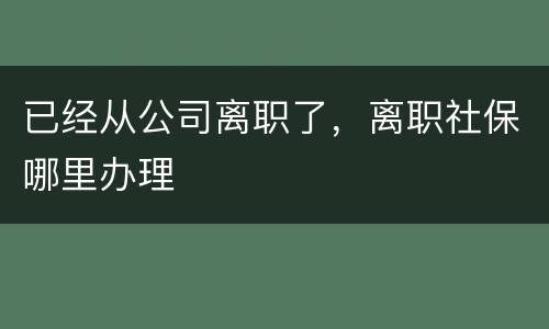 已经从公司离职了，离职社保哪里办理