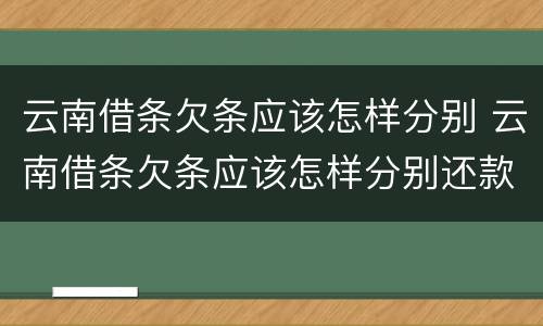 云南借条欠条应该怎样分别 云南借条欠条应该怎样分别还款