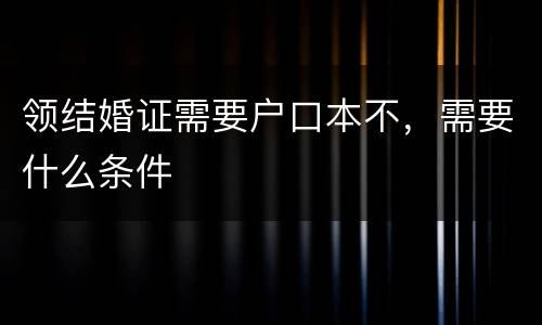领结婚证需要户口本不，需要什么条件