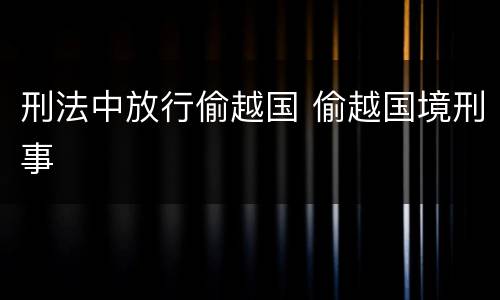 刑法中放行偷越国 偷越国境刑事