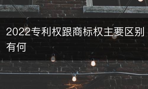 2022专利权跟商标权主要区别有何