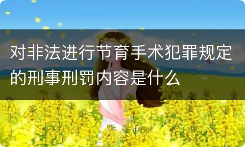 对非法进行节育手术犯罪规定的刑事刑罚内容是什么