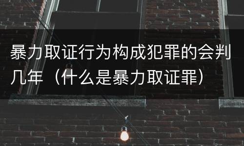暴力取证行为构成犯罪的会判几年（什么是暴力取证罪）