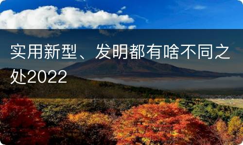 实用新型、发明都有啥不同之处2022
