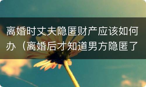 离婚时丈夫隐匿财产应该如何办（离婚后才知道男方隐匿了财产怎么办）