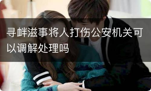 寻衅滋事将人打伤公安机关可以调解处理吗