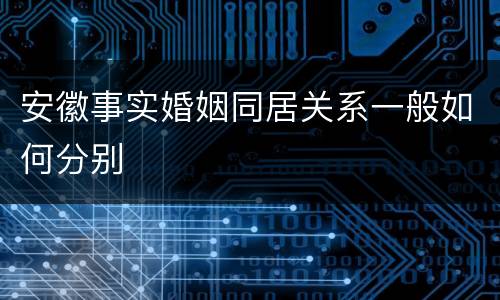 安徽事实婚姻同居关系一般如何分别