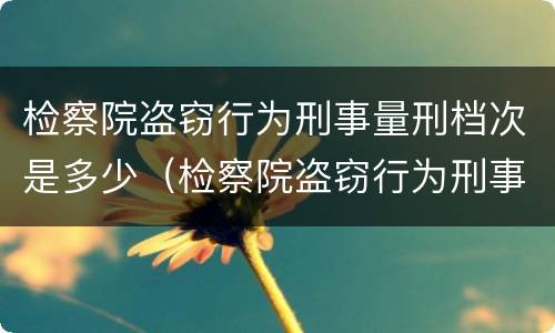 检察院盗窃行为刑事量刑档次是多少（检察院盗窃行为刑事量刑档次是多少级）