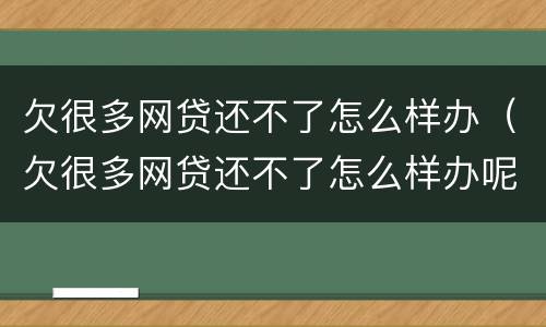 欠很多网贷还不了怎么样办（欠很多网贷还不了怎么样办呢）