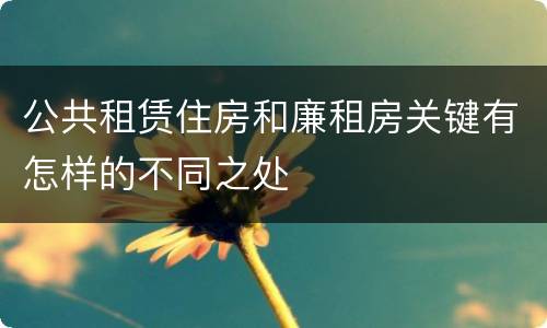 公共租赁住房和廉租房关键有怎样的不同之处