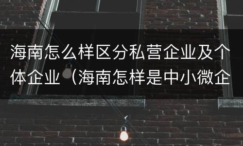 海南怎么样区分私营企业及个体企业（海南怎样是中小微企业怎么划分）