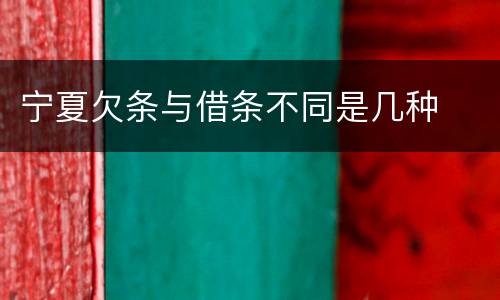 宁夏欠条与借条不同是几种
