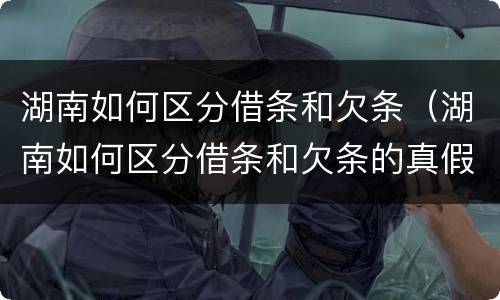 湖南如何区分借条和欠条（湖南如何区分借条和欠条的真假）