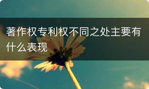 著作权专利权不同之处主要有什么表现