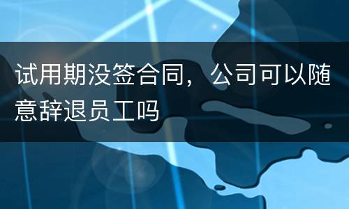 试用期没签合同，公司可以随意辞退员工吗