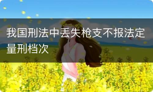 我国刑法中丢失枪支不报法定量刑档次