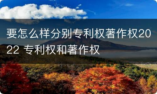 要怎么样分别专利权著作权2022 专利权和著作权