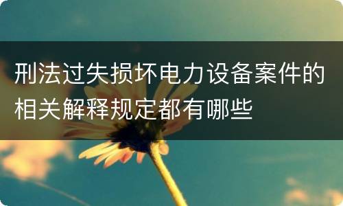 刑法过失损坏电力设备案件的相关解释规定都有哪些