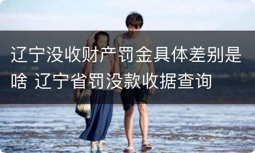 辽宁没收财产罚金具体差别是啥 辽宁省罚没款收据查询