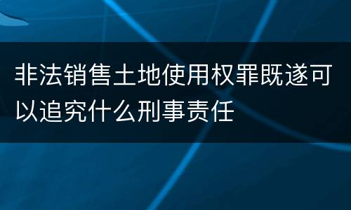 非法销售土地使用权罪既遂可以追究什么刑事责任