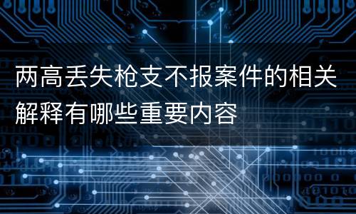 两高丢失枪支不报案件的相关解释有哪些重要内容