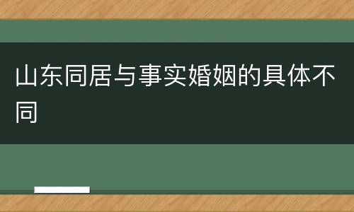 山东同居与事实婚姻的具体不同