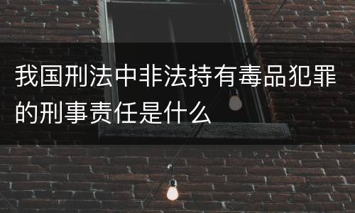 我国刑法中非法持有毒品犯罪的刑事责任是什么