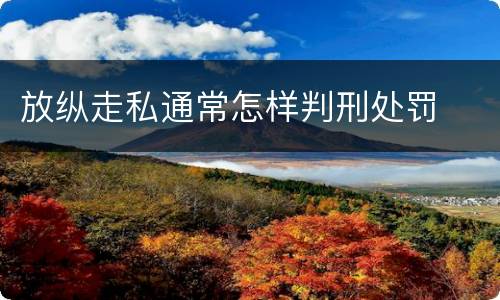 放纵走私通常怎样判刑处罚