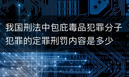 我国刑法中包庇毒品犯罪分子犯罪的定罪刑罚内容是多少