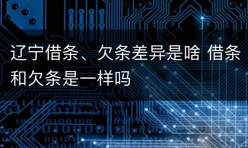 辽宁借条、欠条差异是啥 借条和欠条是一样吗