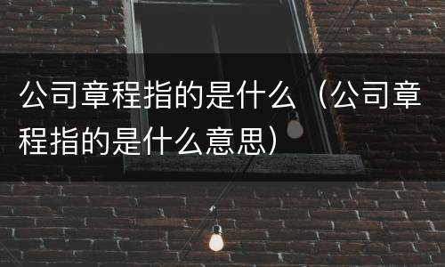 公司章程指的是什么（公司章程指的是什么意思）