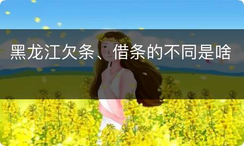 黑龙江欠条、借条的不同是啥