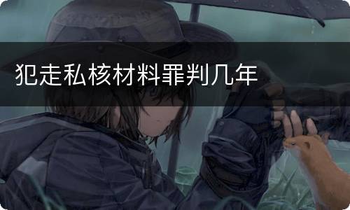 犯走私核材料罪判几年