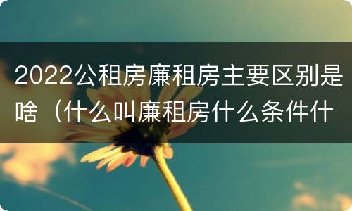 2022公租房廉租房主要区别是啥（什么叫廉租房什么条件什么叫公租房）