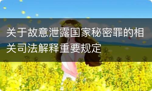 关于故意泄露国家秘密罪的相关司法解释重要规定