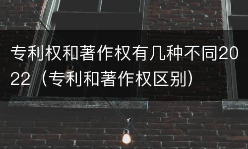 专利权和著作权有几种不同2022（专利和著作权区别）