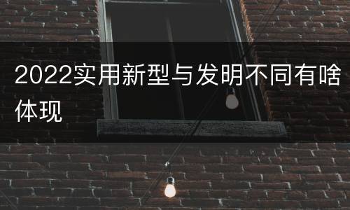 2022实用新型与发明不同有啥体现