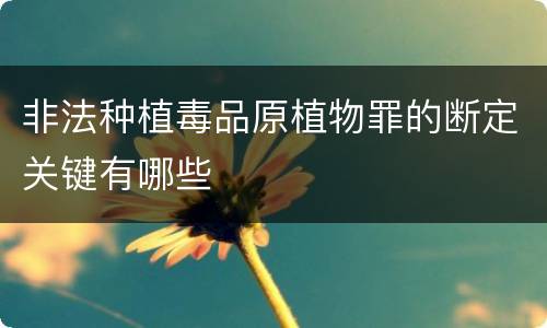 非法种植毒品原植物罪的断定关键有哪些
