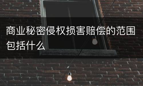 商业秘密侵权损害赔偿的范围包括什么