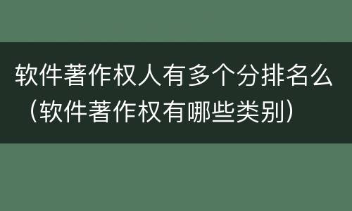 软件著作权人有多个分排名么（软件著作权有哪些类别）