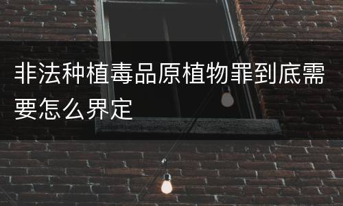 非法种植毒品原植物罪到底需要怎么界定